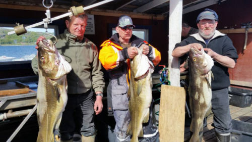 Lykkelige fiskere i Einvika
