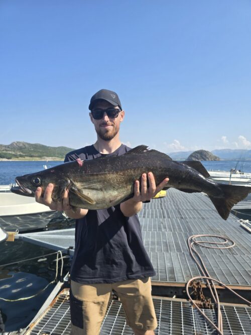 3 Fiskebilde einvika 2025