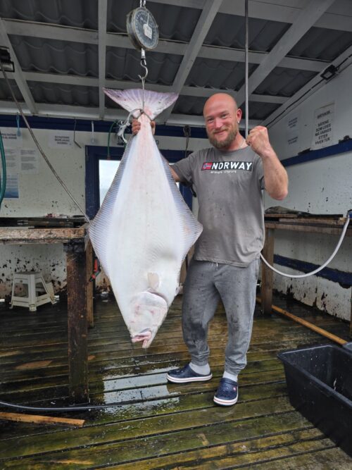 4 Fiskebilde einvika 2025