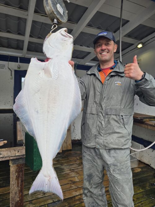 Fiskebilde Einvika 2025